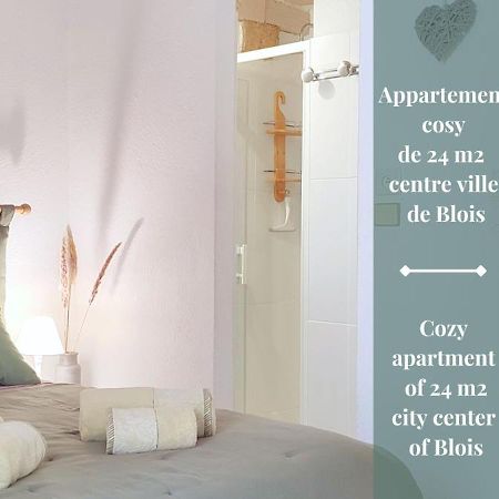 Blois City - Le Petit Saint Jean Apartment Exterior foto