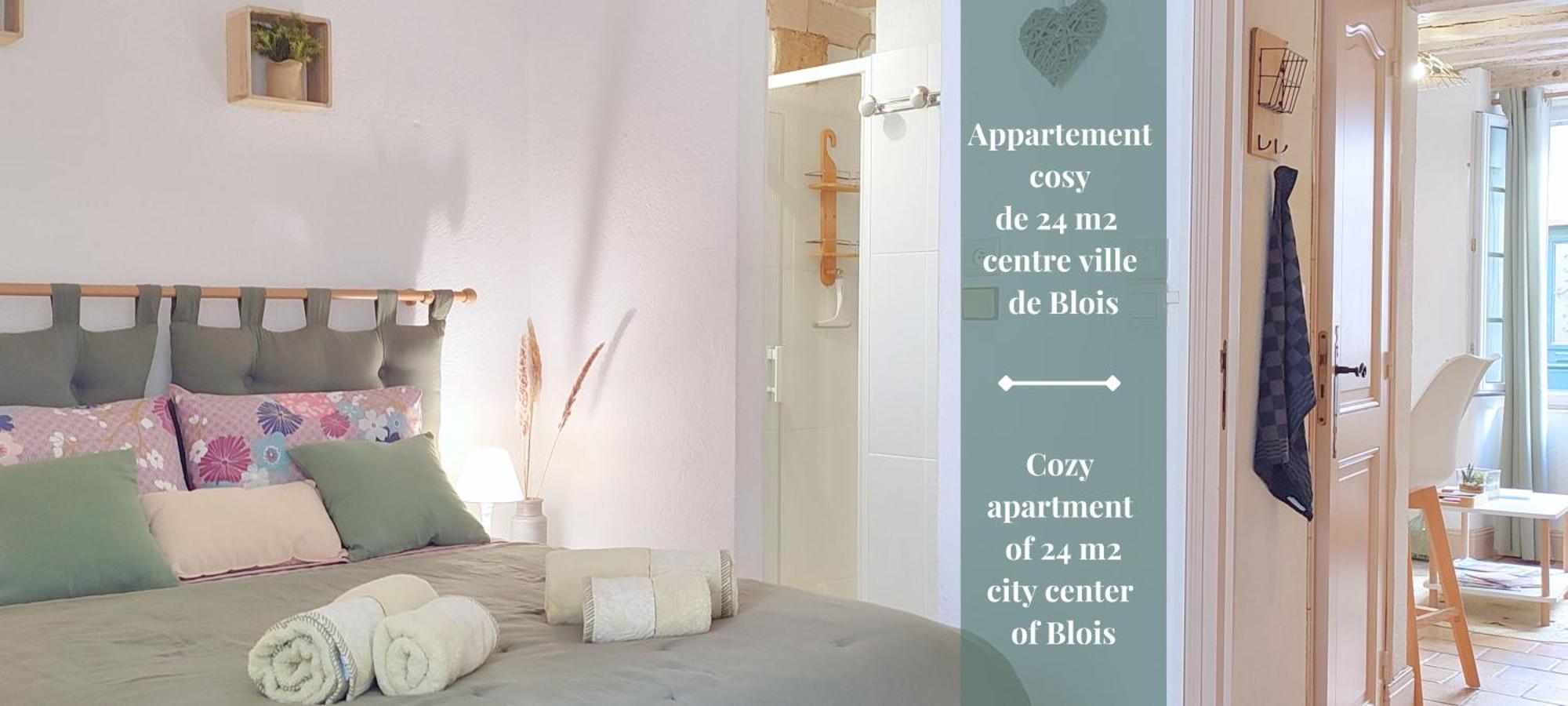 Blois City - Le Petit Saint Jean Apartment Exterior foto